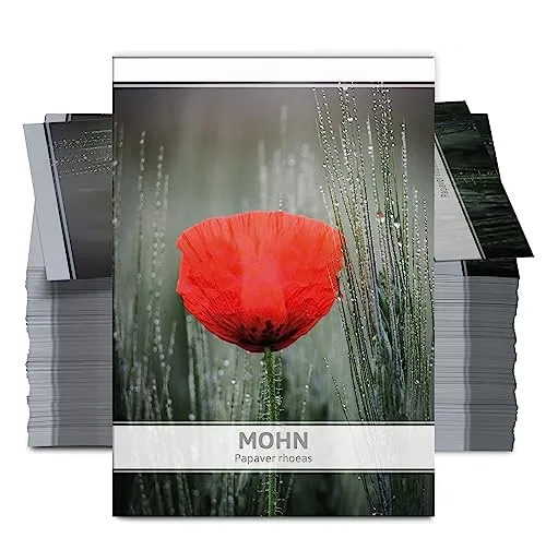 FLORTUS Mohnsamen als Gastgeschenke (100 Stück) | Blumensamen perfekt als Dankeschön Geschenke, Werbegeschenke & Trauerkarten Danksagung