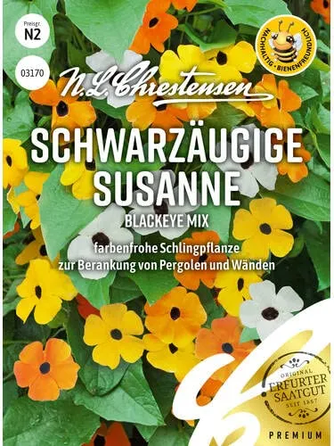Schwarzäugige Susanne Blackeye Mix
