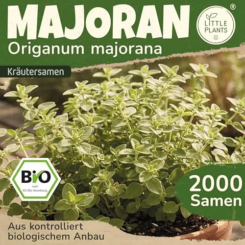 Little Plants BIO Majoran Samen 2000 Majoransamen Kräutersamen Samenfest für Kräutergarten Kräuter Samen Küchenkräuter für Küche, Balkon und Garten