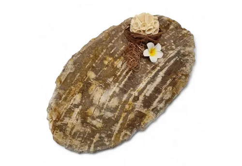 Kinaree Dekoschale Versteinertes Holz Deko Schale, Naturprodukt, poliert, Versteinertes Holz