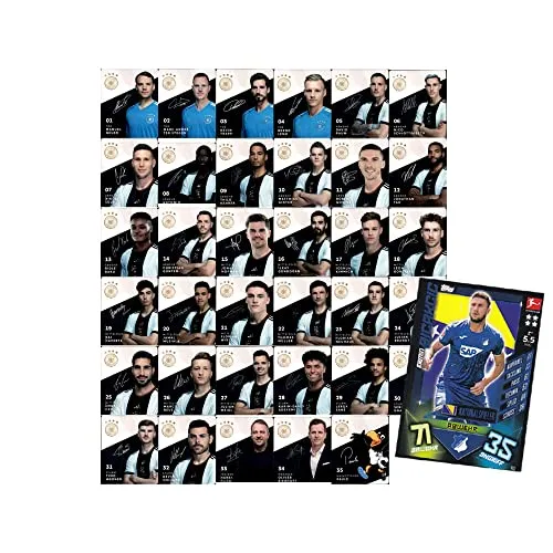 Rewe WM 2022 Sammelkarten Bundle (1 Komplettsatz)