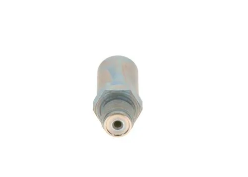 Bosch Druckbegrenzungsventil für Common-Rail-System 1 110 010 030 - Autoteile - Hochwertiges Druckbegrenzungsventil für optimale Motorleistung und Effizienz im Dieselbetrieb.
