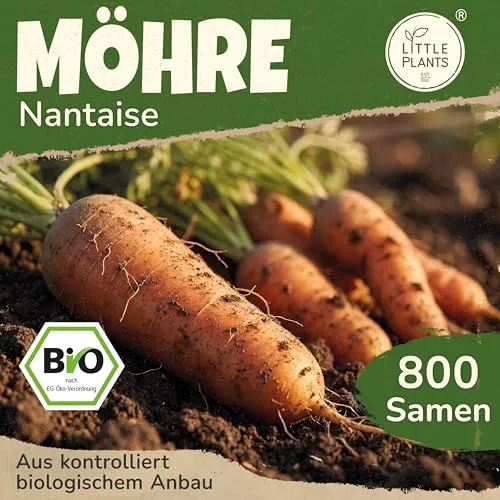 Little Plants BIO Möhren Samen 800 Möhrensamen Nantaise Gemüsesamen Karottensamen für Gemüsegarten Samenfest Gemüse Samen für Küche, Balkon und Garten