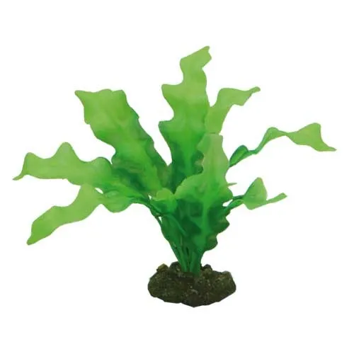Hobby Echinodrus 20 cm künstliche Pflanze