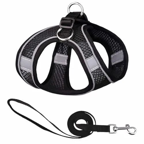 Monkimau Atmungsaktives Hundegeschirr mit Leine | Mesh und Nylon | Ideal für kleine Hunde und Katzen | Größe XXS bis L (Schwarz, XS)