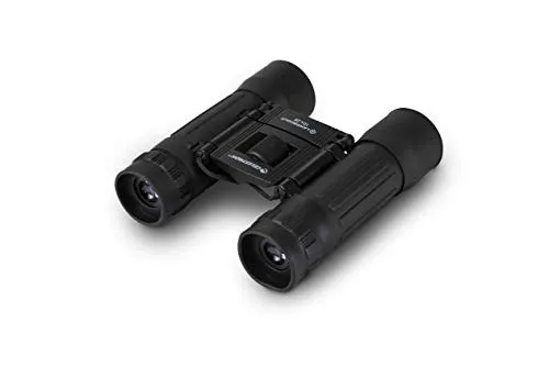 Celestron 72352 LandScout 10x25mm Water-Resistant Roof Prism Binoculars with Rubber Grip Surface, Coated Lens, K9 Optical Glass, Neck Strap and Soft Carry Case, Black