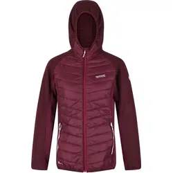 Regatta Hybrid Softshelljacke Damen Andreson VI - Ice Blue, Größe 42 - Leichte Hybrid Softshelljacke für Damen, ideal für Outdoor-Aktivitäten. Mit warmhaltender Isolierung und optimaler Bewegungsfreiheit durch Extol Stretch. Wasserabweisend und mit praktischen Taschen ausgestattet.