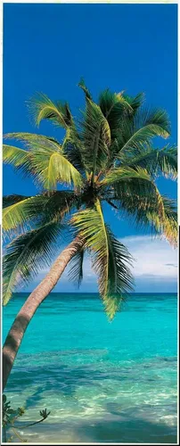 Fototapete PAPERMOON "Palm Tree - Türtapete", bunt, B:0,9m L:2m - Bunte Fototapete mit Naturmotiv, ideal für kreative Wandgestaltungen. Aus Vlies, einfach zu verarbeiten, für einen lebendigen Akzent in jedem Raum.