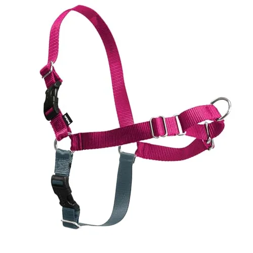 PetSafe Easy Walk-Geschirr, Anti-Zieh-Hundegeschirr, Verringert Würgen und Husten, Mit 1,8 M Leine, Größe L, Rosa