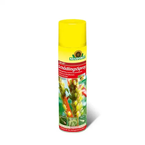 Neudorff Spruzit SchädlingsSpray – Effektive Bekämpfung von Schädlingen an Zierpflanzen und Gemüse, 400 ml - Effektives Spray zur Bekämpfung von Schädlingen wie Blattläusen und Buchsbaumzünsler. Ideal für Garten und Balkon, wirkt auch bei niedrigen Temperaturen. Schonend für Bienen und Nützlinge.