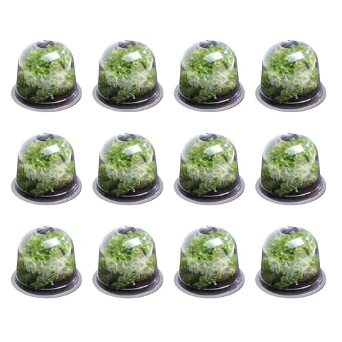 IDMarket - Salatglocke x12 Gewächshaus zum Schutz von Setzlingen - Set aus 12 schützenden Glocken für Ihre Setzlinge. Ideal für den Einsatz im Gewächshaus, um Pflanzen vor äußeren Einflüssen zu schützen.
