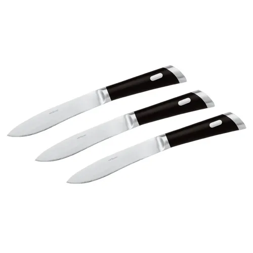 Sambonet Special Knife Edelstahl 18/10 Set 3 Steakmesser T-Bone 25,6 cm, Glatte Klinge, Schwarz, 29 x 13 x 6 cm, 3-Einheiten