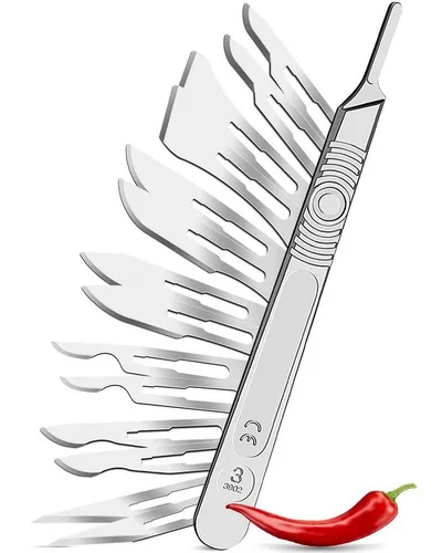 Kosmetex Rasierklingen 14x Skalpell Fusspflege Set 1x Griff, Kosmetex Podologie Swann Morton Mix Klingen Hornhaut, Hühnerau