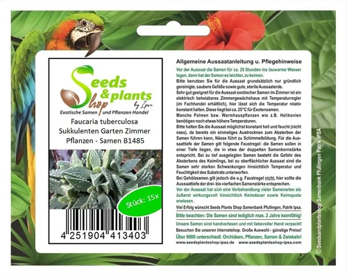 15x Faucaria tuberculosa Sukkulenten Garten Zimmer Pflanzen - Samen B1485