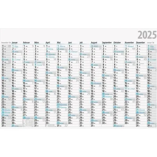 Rido Jahresplaner 121x77cm 14 Monate 2025 (Kein Einband, Deutsch) (7033671055)