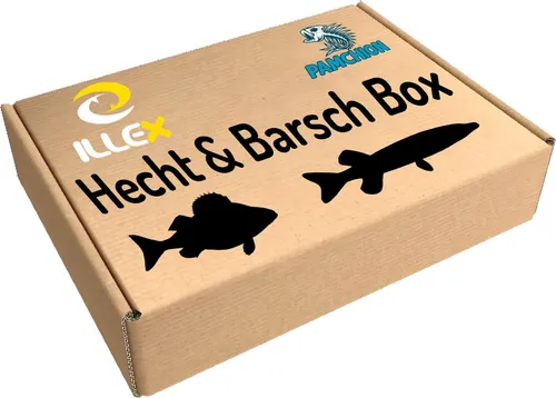 Illex Duo Box Japanische Köder für Hecht und Barsch M - Hochwertige Köderbox für Raubfischangler. Ideal für Einsteiger mit einer Auswahl an Gummiködern und Hardbaits, um Ihre Fangchancen zu maximieren. Perfekt für erfolgreiche Angelausflüge!