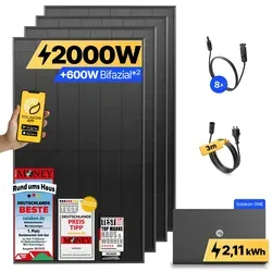 Balkonkraftwerk 2000W/800W - Mini Solaranlage mit Speicher - Solaranlage zur Stromerzeugung, steckerfertig und schnell installiert für maximale Ersparnis bei Ihrer Stromrechnung.