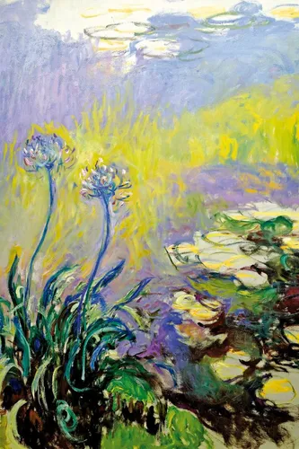 1art1 Poster Claude Monet Kunstdruck Bild - Schmucklilien, Agapanthus