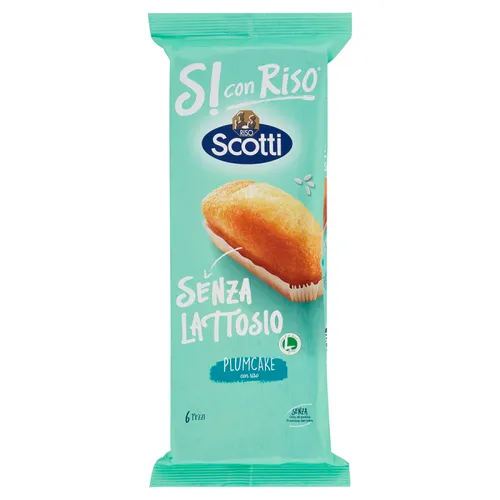 Scotti PlumCake con Riso Pflaumenkuchen mit Reis laktosefrei ( 6 x 31,7g ) 190g