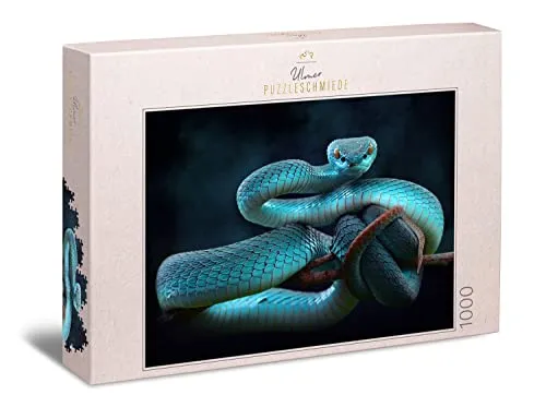 Ulmer Puzzleschmiede - Puzzle „Schlangentraum“ - Klassisches 1000 Teile Puzzle – Mysthisches Tierfoto mit aufregendem Schlangen-Motiv - die Blaue Viper ist EIN Puzzle für fortgeschrittene Puzzler