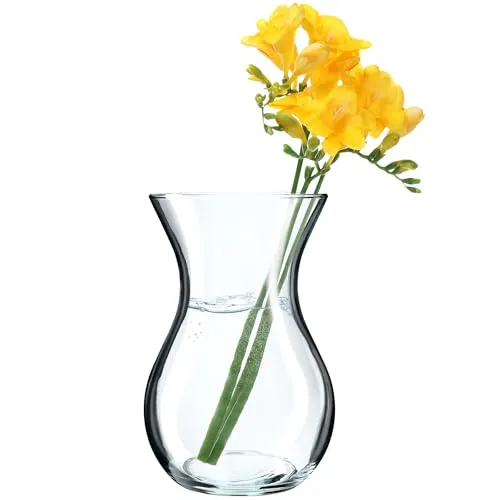 KADAX Blumenvase, 18cm Vase aus Glas, ⌀8cm Glasblumenvase mit einem 11cm Hals, Durchsichtige Tischvase, Klarglasvase, Glasvase für Blumen, Dekovase für Wohnzimmer (18cm / 1 Stück)