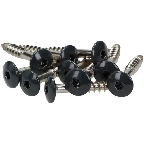 100x MEISTERLING® Fassadenschrauben INOX V4A 5,5 x 55 mm – Flachkopf Torx T20 - Schrauben für Fassadenbau, aus hochwertigem V4A Edelstahl, rostfrei und witterungsbeständig – ideal für langfristige Anwendungen im Außenbereich.