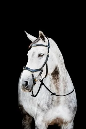 Horseware Micklem II Multi Bridle für Warmblut - Vielseitiges Zaumzeug mit anatomischem Design. Ideal für Reiter, die Komfort und Funktionalität schätzen. Anpassbar als Zaumzeug, Kappzaum oder gebisslos – für ein angenehmes Erlebnis beim Reiten.