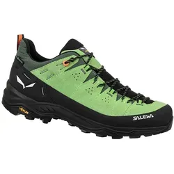 Salewa Wanderschuhe Alp Trainer 2 GTX (Alpine, Wildleder, wasserdicht) grün Herren