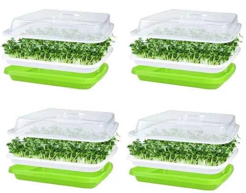 KAHEIGN 4Pcs Keimschalen für Sprossen, Seed Sprouter Tray 32cm x 26cm Keimschale Sprossen mit Deckel für große Samen Keimung Tablett Keimbox für Anzucht von Mungbohnen Alfalfa Weizengras