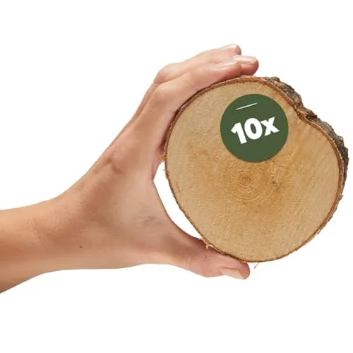 Kleine Holzscheiben 8 cm zum Holz-Deko Basteln - 10 Stk. runde EU Birkenholz Baumscheiben