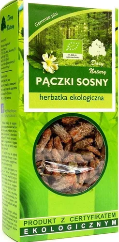 -TEE AUS KIEFERNSAMEN 50 g – DARY NATURY