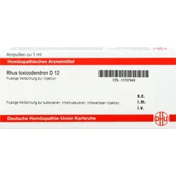 Rhus Toxicodendron D12 Ampullen 8 ML