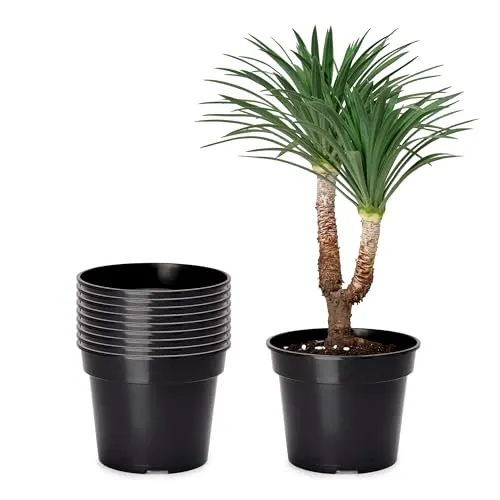 Garronda Blumentopf Kunststoff 51cm – Rund Kräutertopf für Innen & Außen (10 Stück) - Hochwertige Kunststoff-Blumentöpfe für die Anzucht und Pflege von Pflanzen. Flexibel und leicht, ideal für den Innen- und Außenbereich. Hergestellt in der EU, für einfaches Umpflanzen und saubere Handhabung.