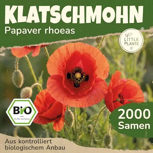 Little Plants BIO Klatschmohn Samen 2000 Mohnsamen Blumensamen für Blumenkübel Samenfest Blumen für Balkon und Garten Klatschmohnsamen Mohnblume