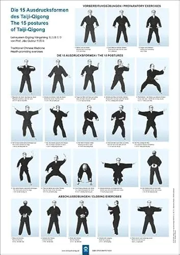 Die 15 Ausdrucksformen des Taiji Qigong Poster