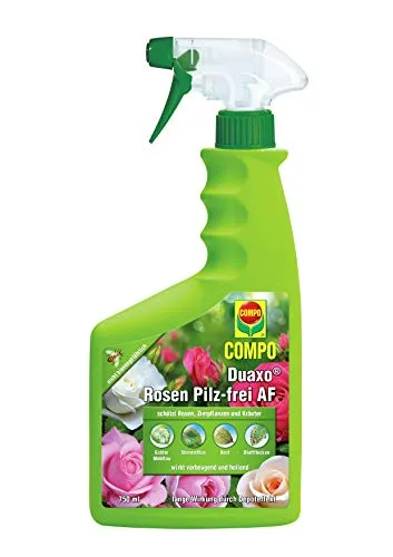 COMPO Duaxo Rosen Pilz-frei AF - 750 ml Hand-Sprühflasche - Effektives Mittel zur Bekämpfung von Pilzkrankheiten an Rosen und Zierpflanzen. Einfache Anwendung mit sofortiger und dauerhafter Wirkung für gesunde Pflanzen im Garten.