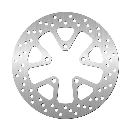 Bremsscheibe (vorne) KAWASAKI H2 1000 / SX NINJA '15-'22 (250X70X5MM)