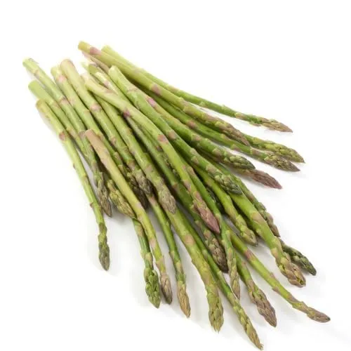 Grüne Spargel Pflanzen - 5 frigo A+ für Garten und Hochbeet - Erhalten Sie 5 robuste Spargelpflanzen, ideal für Garten und Hochbeet. Pflegeleicht und winterhart, liefern sie über Jahre hinweg frische Erträge. Sorgfältig in den Niederlanden kultiviert, garantieren sie hohe Qualität.