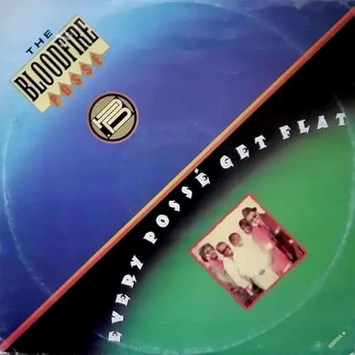 Every Possé Get Flat [Vinyl Single]