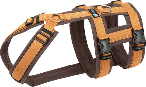 AnnyX Hunde-Sicherheitsgeschirr Safety Fun - Brustgeschirr für Hunde, individuell einstellbar aus strapazierfähigem Nylon, sorgt für gleichmäßige Druckverteilung und hohen Tragekomfort.