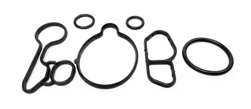 Dr.motor Automotive Dichtungssatz, Ölkühler DRM0549S