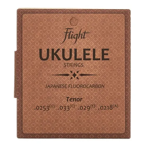 FUST-100 Tenor Ukulele Set
