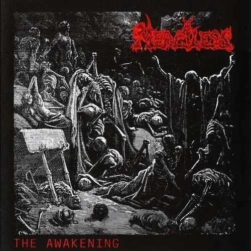 The awakening