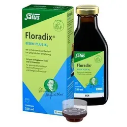 Floradix Eisen plus B12 vegan Tonikum - Nahrungsergänzungsmittel zur Vorbeugung von Eisenmangel, ideal für Schwangere und stillende Frauen, unterstützt die Blutbildung und verringert Müdigkeit.