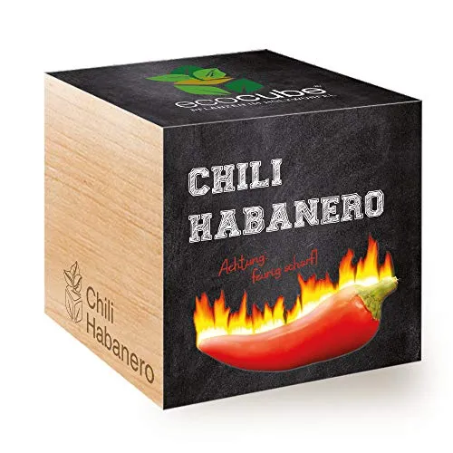 Feel Green 296435 Ecocube Chili Habanero, Feurig Scharf, Nachhaltige Geschenkidee (100% Eco Friendly), Grow Your Own/Anzuchtset, Pflanzen Im Holzwürfel 7.5 cm, Made in Austria