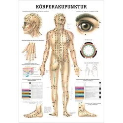 Körperakupunktur Lehrtafel Anatomie 100x70 cm medizinische Lehrmittel, Nicht Laminiert