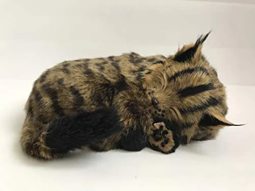 Perfect Petzzz Maine Coon Katze, Plüsch, Atemend - Realistisch atmende Plüschkatze im Maine Coon Design, ideal zum Kuscheln und Spielen. Inklusive Bürste und Bett, perfekt für Kinder ab 3 Jahren.