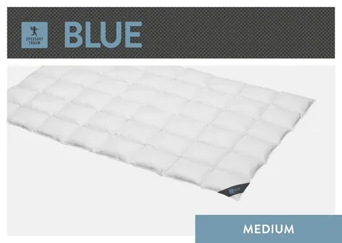 SPESSARTTRAUM Daunenbettdecke Blue 155x220 cm - Winterdecken, allergikerfreundlich und mit DOWNPASS-Zertifizierung für höchste Qualität und Tierschutz, ideal für erholsamen Schlaf.