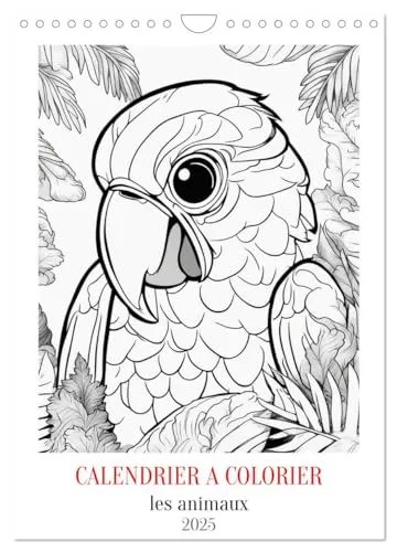 Calendrier à colorier (Wandkalender 2025 DIN A4 hoch), CALVENDO Monatskalender