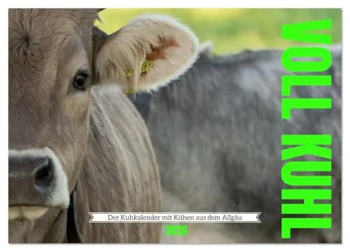 Voll kuhl - der Kuhkalender mit Kühen aus dem Allgäu (Wandkalender 2026 DIN A3 quer), CALVENDO Monatskalender: Ein liebevoll gestalteter Kuhkalender ... kuhl, ein Muuhhhsthave. (CALVENDO Tiere)